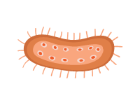 Cell 2
