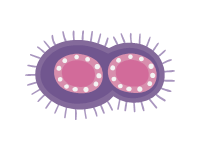 Cell 3