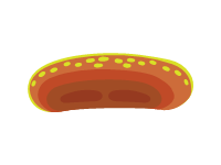 Cell 8