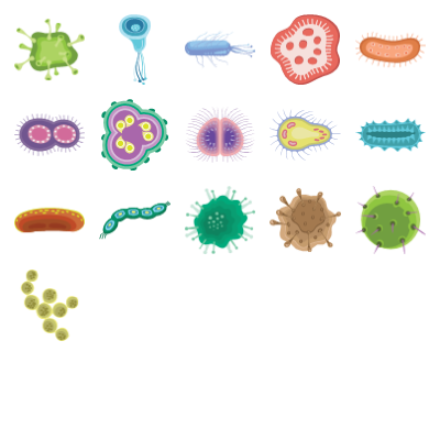 Cells Preview Small