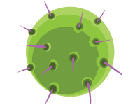 Influenza