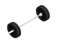 Barbell Bar with Weights