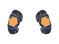 Elbow Pads