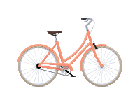 Dutch bike
