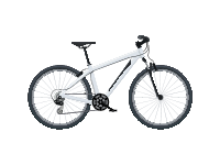 Hybrid bike