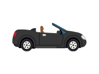 Black Cabriolet