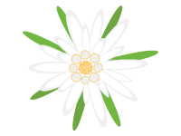 Edelweiss