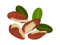 Brazil Nuts