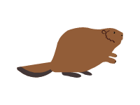 Beaver