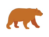 Brown Bear
