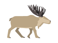 Elk