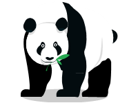 Panda Bear