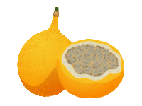 Sweet Granadilla
