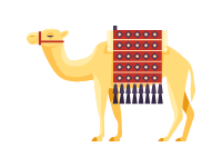 Camel