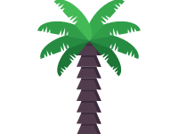 Palm Tree 1