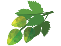 Humulus