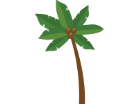 Palm Tree