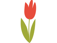 Tulip