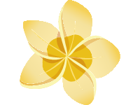 Arabian Jasmine