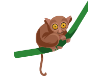 Philippine Tarsier