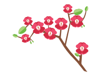 Orchid Flower