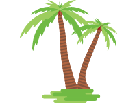 Palm Trees