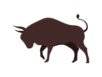 Spanish Fighting Bull