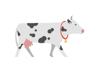 Swiss Cow