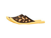 Traditional Turkish Shoes