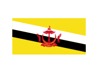 Brunei Flag