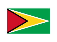 Guyana Flag