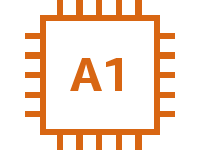 A1 instance