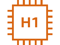 H1 instance