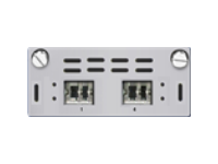 SG 2x 10G Module