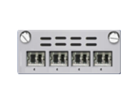 SG 4x 10G Module