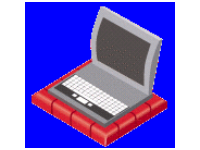 Secure Client