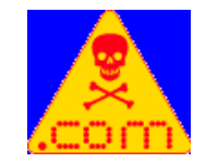 Web Site Virus