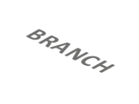 Branch