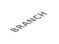 Branch 2