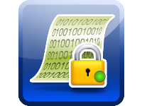 VPN IPSec VPN