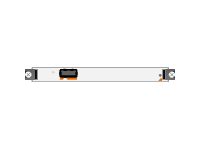SPA 1X10GE WL V2