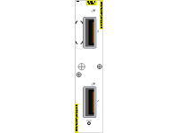 A9K MPA 2X100GE