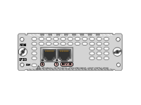 NIM 2FXS