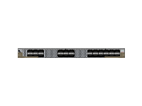 NC55 24X100G SE