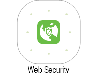 Web Security