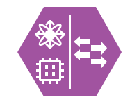 Nexus Fabric Switch