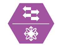 Nexus Switch