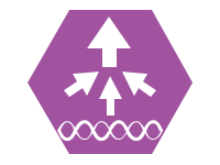 WLAN Controller