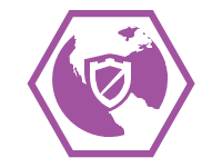 v Web Security