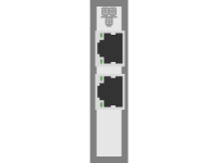 LP Dual 10Gb E Card ( RJ45)